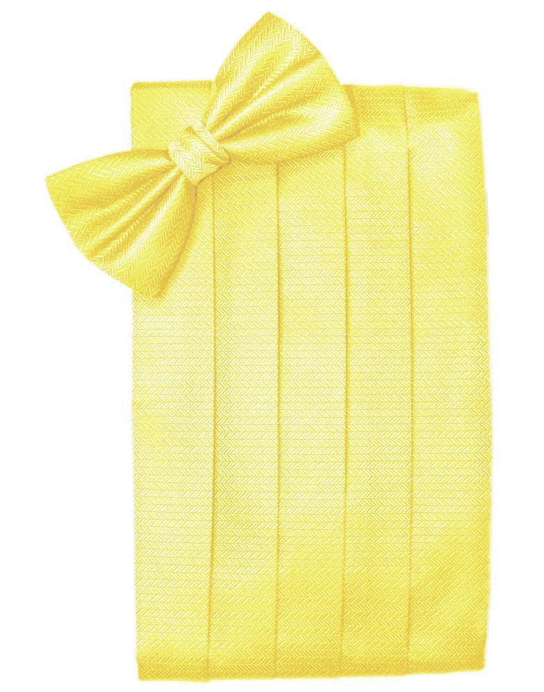 Cardi Lemon Herringbone Cummerbund