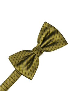 Cardi Gold Palermo Kids Bow Tie