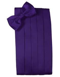 Cardi Purple Luxury Kids Satin Cummerbund