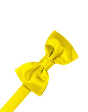 Cardi Sunbeam Luxury Satin Bow Tie
