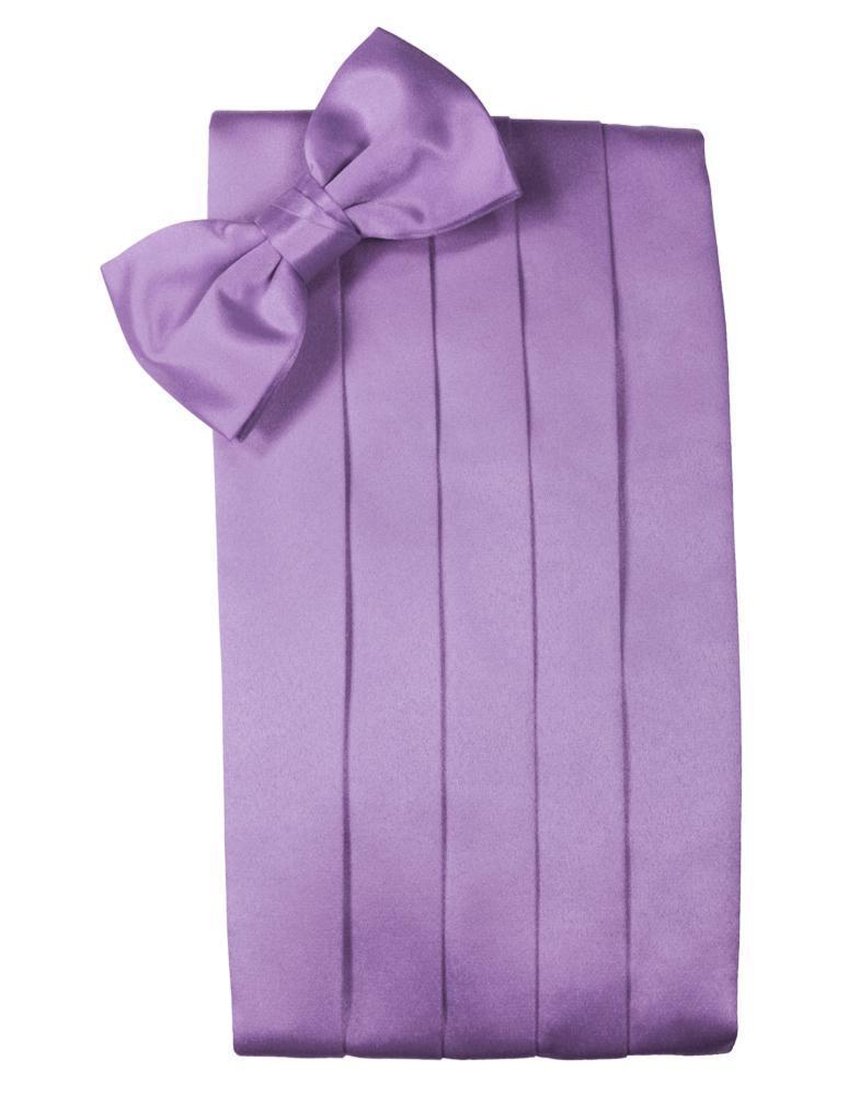 Cardi Wisteria Luxury Kids Satin Cummerbund