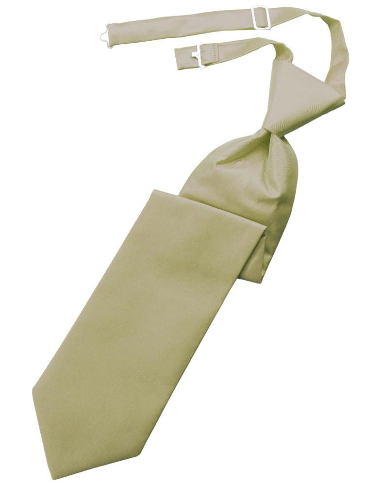 Cardi Champagne Solid Twill Windsor Tie