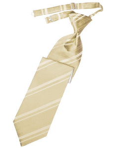 Cardi Pre-Tied Golden Striped Satin Necktie