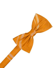 Cardi Pre-Tied Mandarin Striped Satin Bow Tie