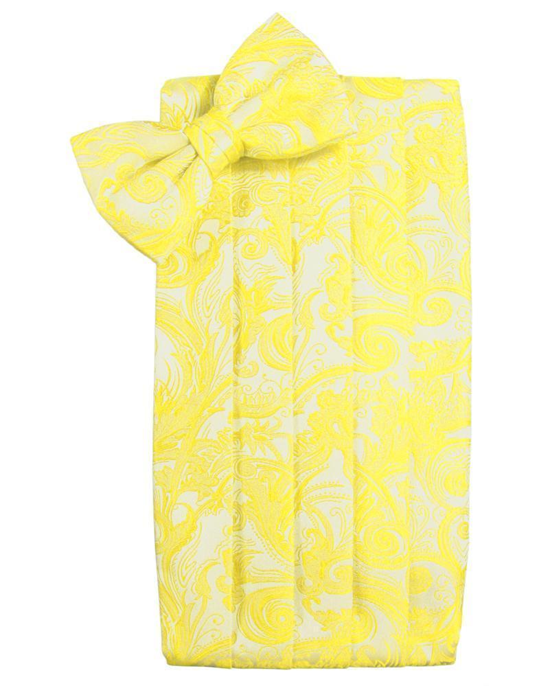 Cardi Lemon Tapestry Kids Cummerbund