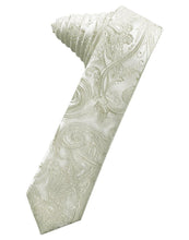 Cardi Self Tie Platinum Tapestry Skinny Necktie
