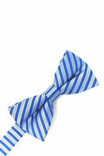 Cardi Pre-Tied Blue Newton Stripe Bow Tie