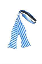 Cardi Self Tie Blue Newton Stripe Bow Tie