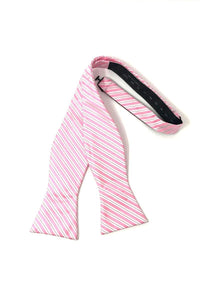 Cardi Self Tie Pink Newton Stripe Bow Tie