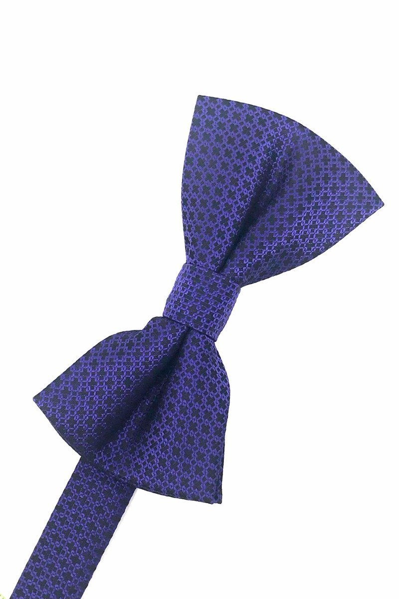 Cardi Pre-Tied Purple Regal Bow Tie